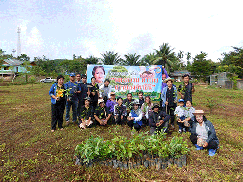 วันที่ 11 ตุลาคม 2560 นายธเรวัชร อบแพทย์ นายก อบต.หาดยายพร้อมด้วยคณะผู้บริหาร เจ้าหน้าที่ อบต.หาดยาย ร่วมกับ เจ้าหน้าที่ สอน.หาดยาย กลุ่ม อสม. และประชาชนในพื้นที่ตำบลหาดยาย ร่วมกันปลูกต้นไม้ ในโครงการ 